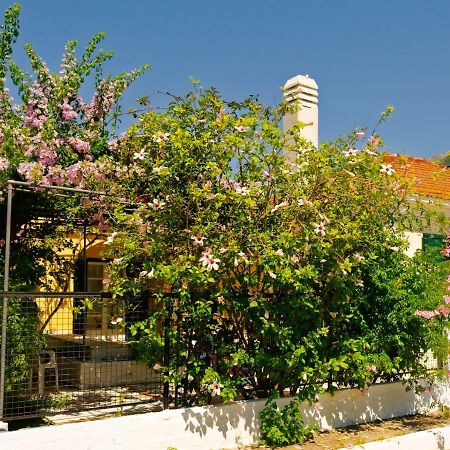 Apartmán House With Garden Near The Sea Agia Efimia Exteriér fotografie