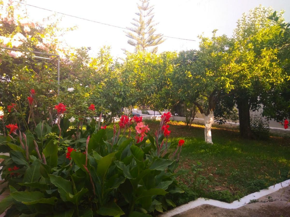 Apartmán House With Garden Near The Sea Agia Efimia Exteriér fotografie