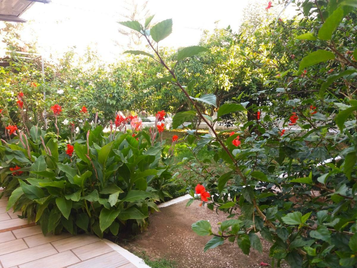 Apartmán House With Garden Near The Sea Agia Efimia Exteriér fotografie