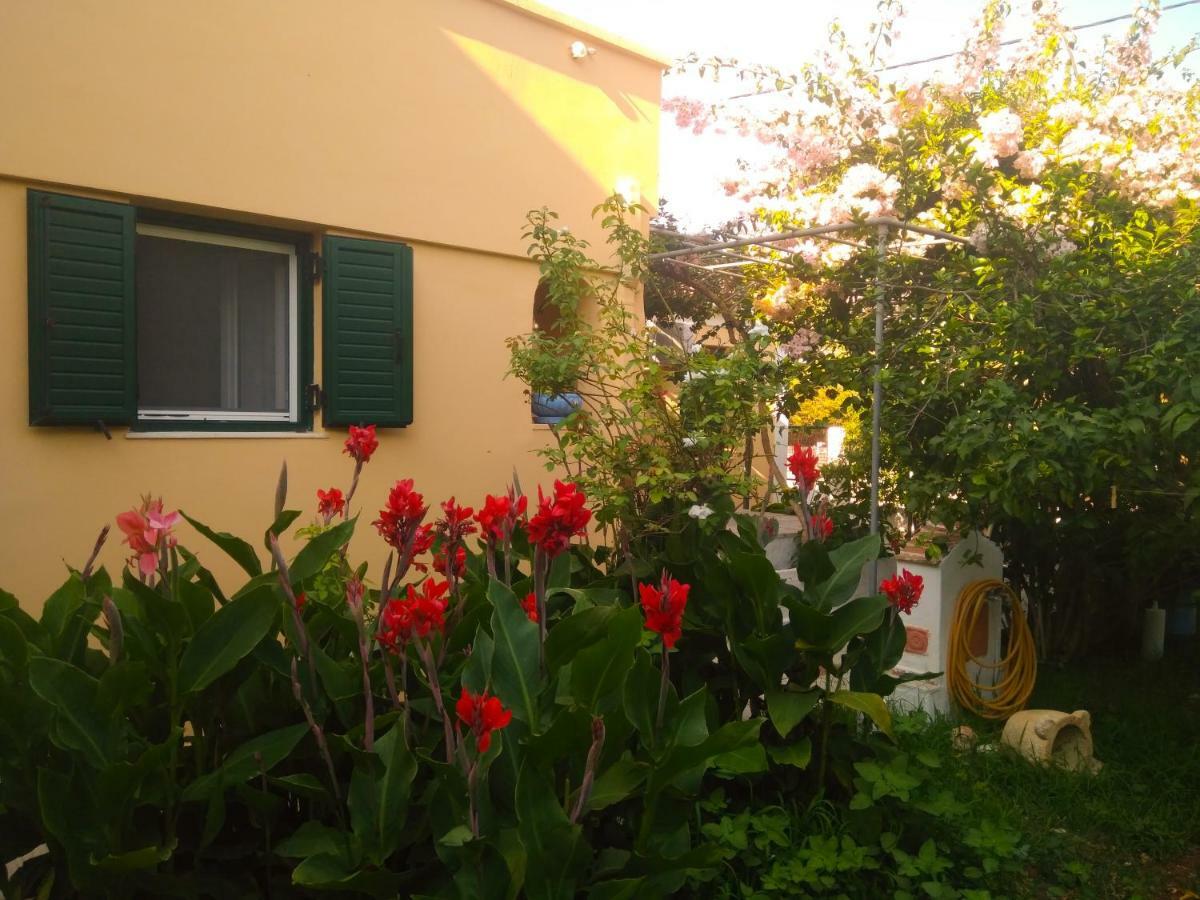 Apartmán House With Garden Near The Sea Agia Efimia Exteriér fotografie
