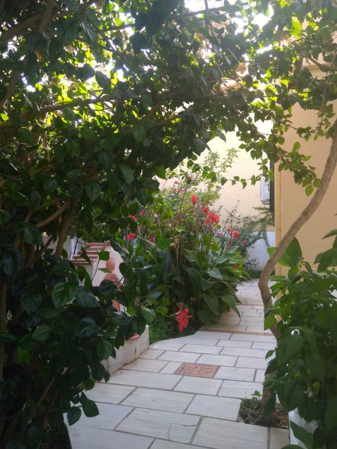 Apartmán House With Garden Near The Sea Agia Efimia Exteriér fotografie